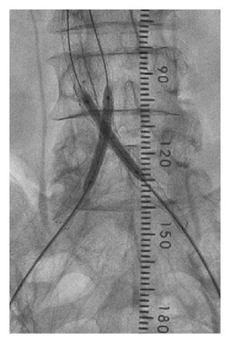 Details are in the caption following the image