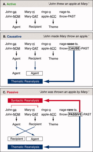 Details are in the caption following the image