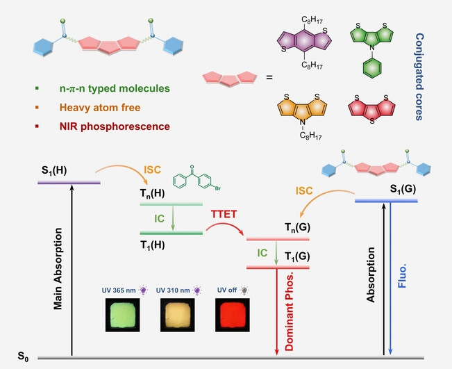Visualizing Triplet Energy Transfer in Organic Near-Infrared Phosphorescent Host-Guest Materials