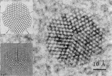 The Morphology and Microstructure of Colloidal Silver and Gold