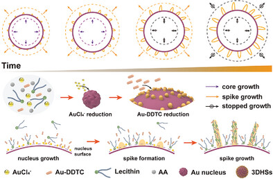 Nucleus-Spike 3D Hierarchical Superstructures via a Lecithin-Mediated Biomineralization Approach