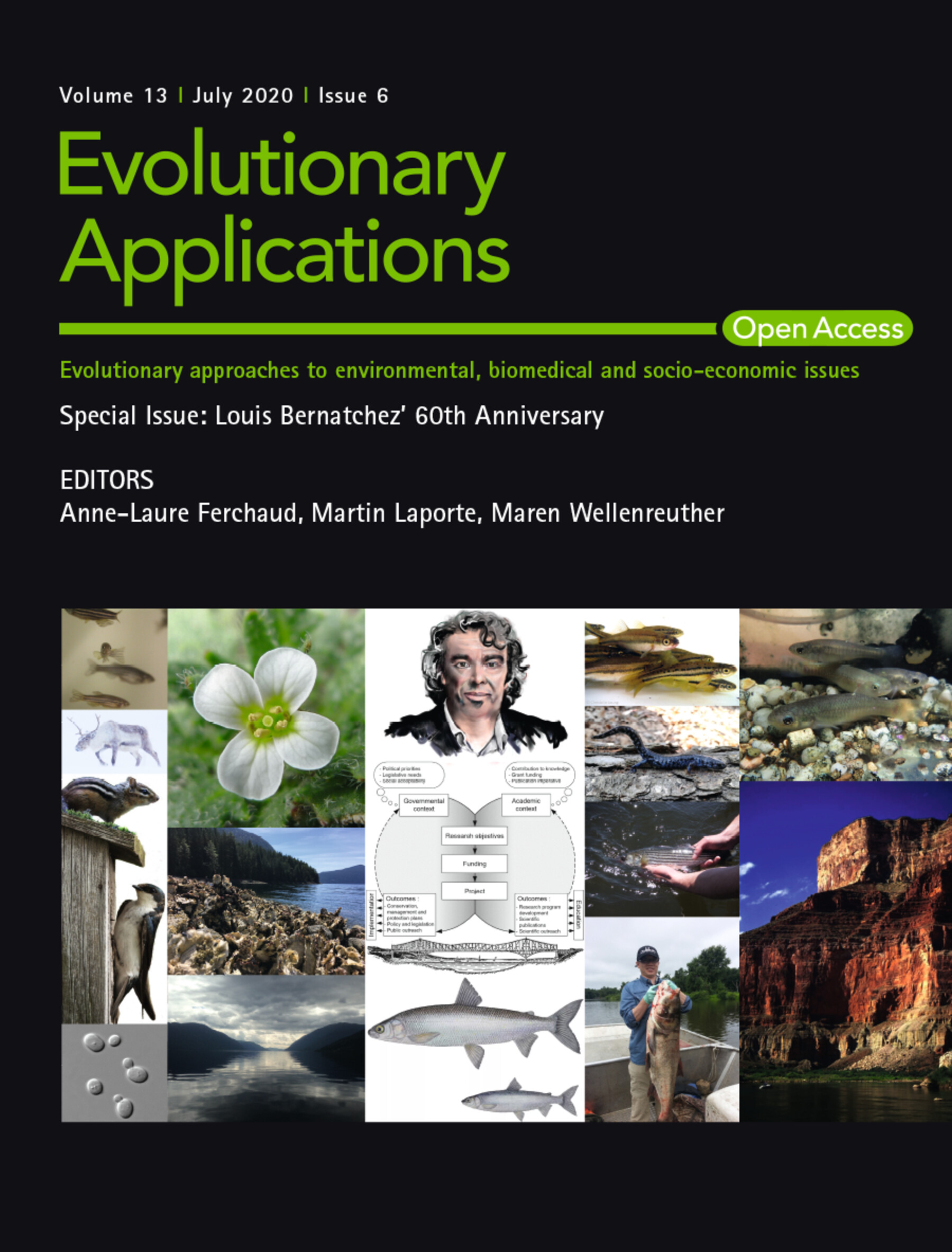Cover Image Volume 13 Issue 6, 2020