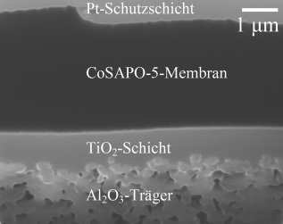 Oriented CoSAPO-5 Membranes by Microwave-Enhanced Growth on TiO2-Coated Porous Alumina