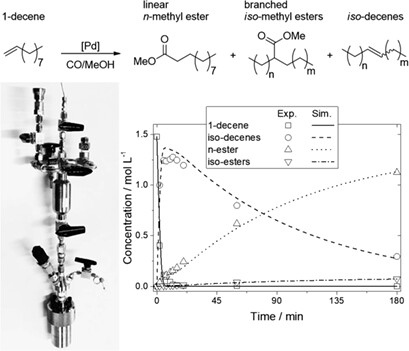 Kinetic Modeling of the Palladium-Catalyzed Isomerizing Methoxycarbonylation of 1-Decene