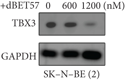 Details are in the caption following the image