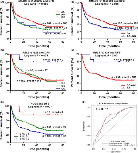 Genetic variants of cell cycle pathway genes predict disease-free survival of hepatocellular carcinoma