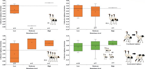Disturbance and predation risk influence vigilance synchrony of black-necked cranes Grus nigricollis, but not as strongly as expected