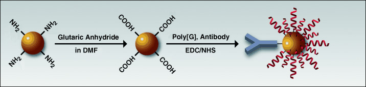 Electroactive Silica Nanoparticles for Biological Labeling