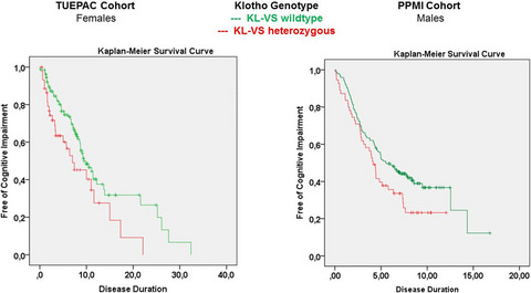 The longevity gene Klotho and its cerebrospinal fluid protein profiles as a modifier for Parkinson´s disease