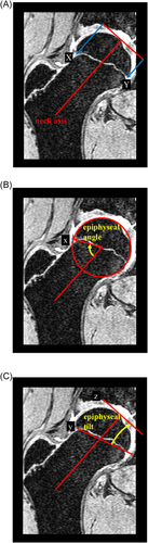 Details are in the caption following the image Details are in the caption following the image