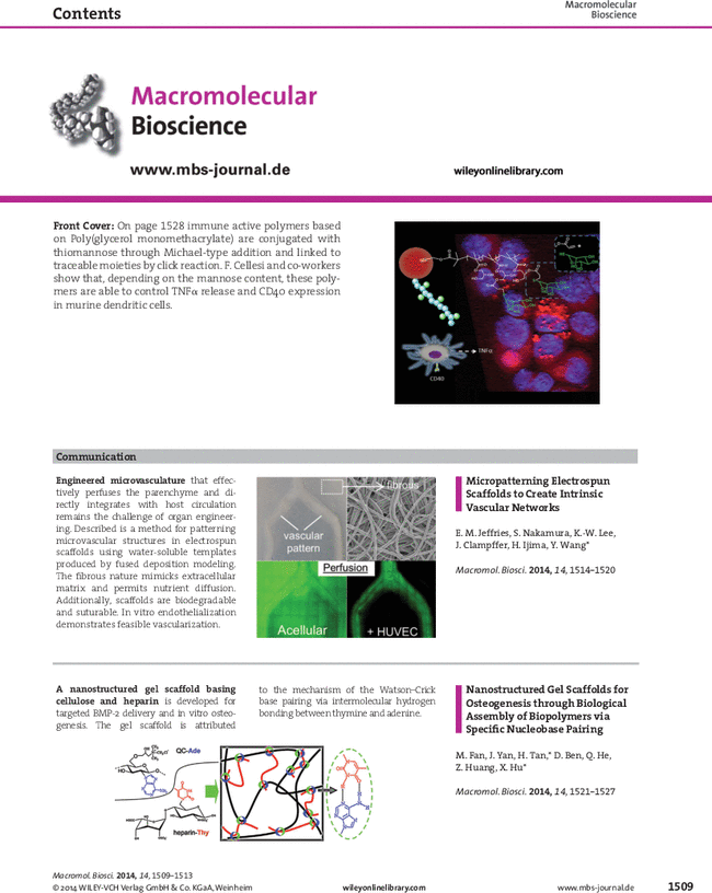 First page image