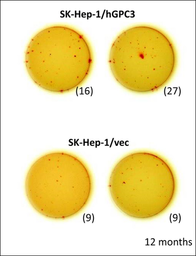 Details are in the caption following the image Details are in the caption following the image