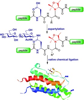 Total Synthesis of Erythropoietin through the Development and Exploitation of Enabling Synthetic Technologies