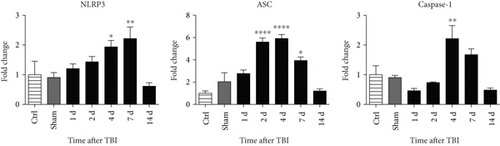 Details are in the caption following the image Details are in the caption following the image