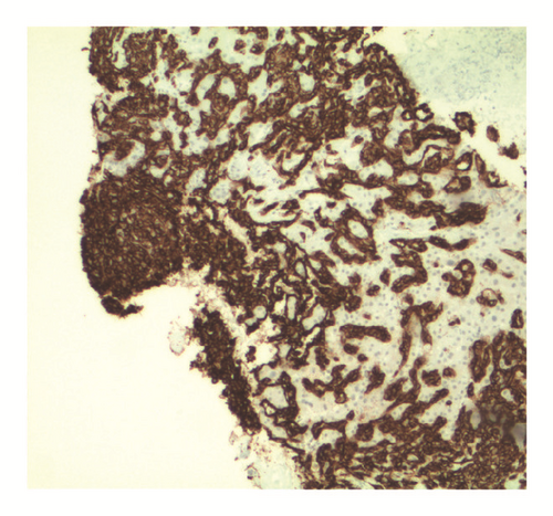 Details are in the caption following the image