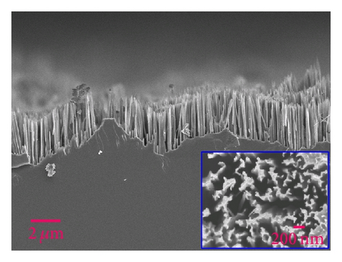 Details are in the caption following the image