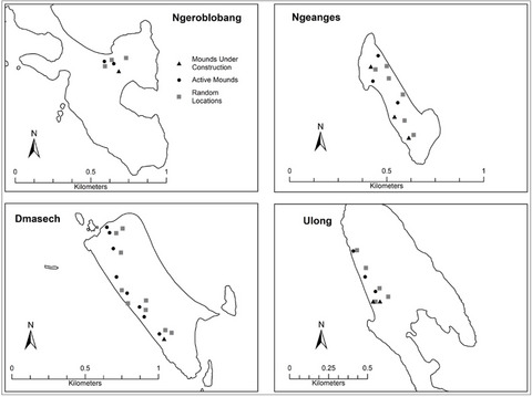Breeding and feeding habitat selection by an island endemic bird may increase its vulnerability to climate change