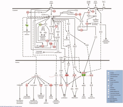 Details are in the caption following the image Details are in the caption following the image