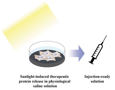Sunlight-Controllable Biopharmaceutical Production for Remote Emergency Supply of Directly Injectable Therapeutic Proteins