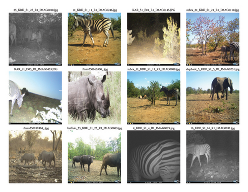 Details are in the caption following the image Details are in the caption following the image