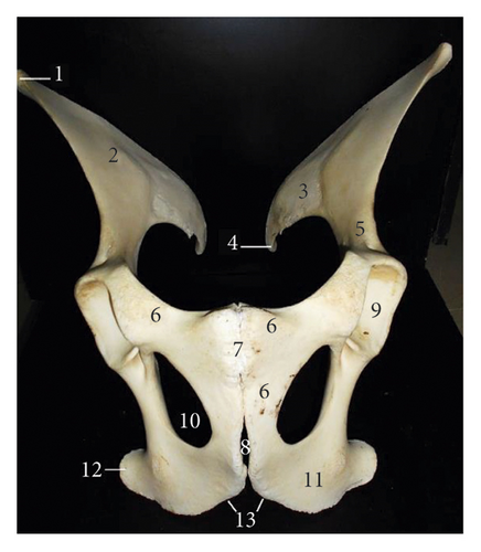 Details are in the caption following the image Details are in the caption following the image