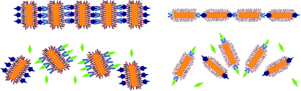 Side-by-Side and End-to-End Gold Nanorod Assemblies for Environmental Toxin Sensing