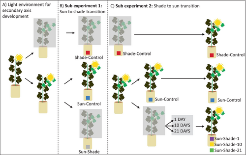 Details are in the caption following the image Details are in the caption following the image