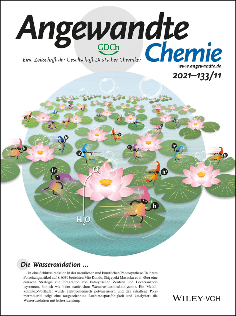 Innenrücktitelbild: Electrochemical Polymerization Provides a Function-Integrated System for Water Oxidation (Angew. Chem. 11/2021) Volume 133 Issue 11, 2021