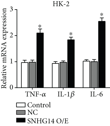 Details are in the caption following the image