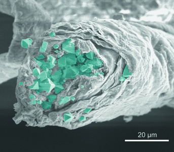 Ein Chitin-MOF-Kompositmaterial mit hierarchischem Porensystem für Anwendungen in der Luftfiltration