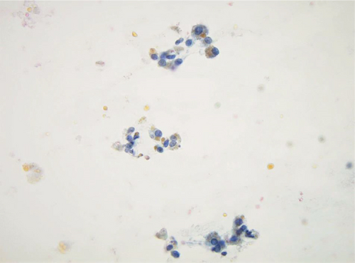 Details are in the caption following the image