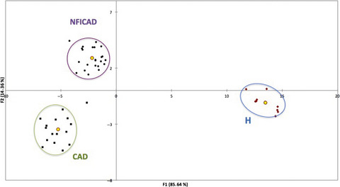 Prospective pilot study to detect dogs with non food-induced canine atopic dermatitis using Fourier transform infrared spectroscopy