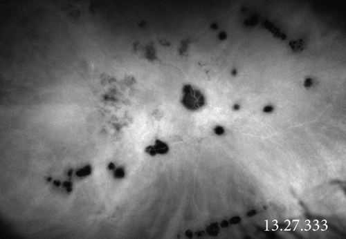 Details are in the caption following the image