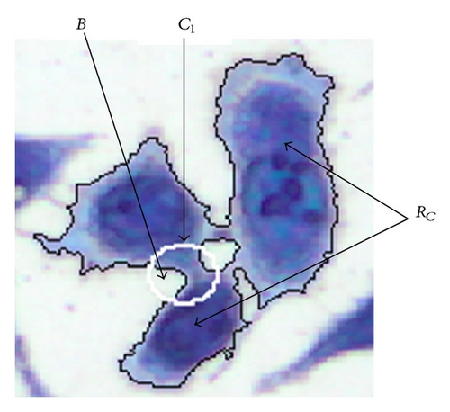Details are in the caption following the image