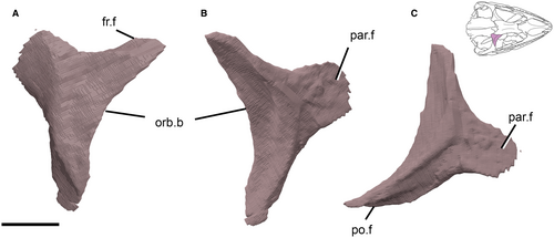 Details are in the caption following the image