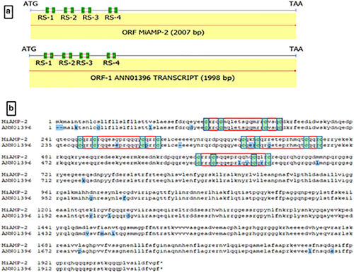 Details are in the caption following the image Details are in the caption following the image