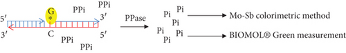 Details are in the caption following the image