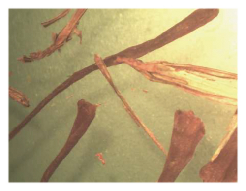 Details are in the caption following the image