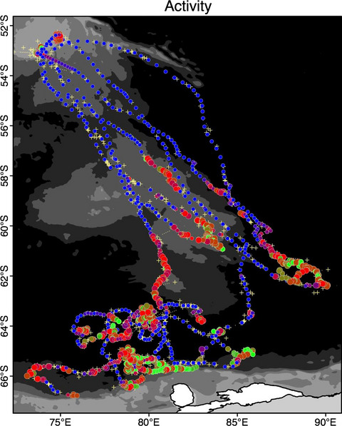 Putting the behavior into animal movement modeling: Improved activity budgets from use of ancillary tag information