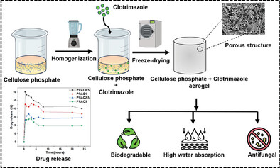Cellulose Based Aerogels Derived From Rice Agro Wastes with Enhanced Antifungal Activity for Topical Management of Vulvovaginal Candidiasis
