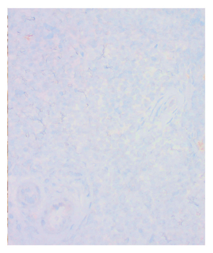 Details are in the caption following the image