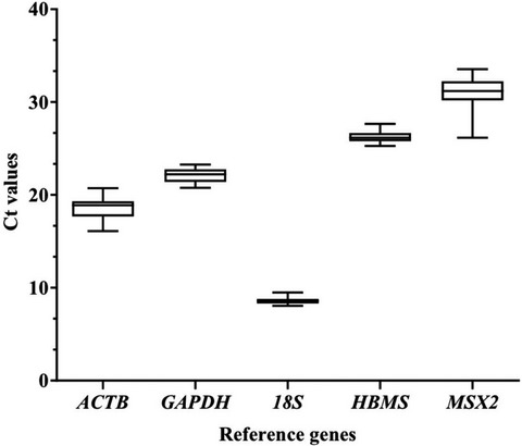 Identification of reliable reference genes for expression studies in the magnum of laying hens housed in cage and cage-free systems