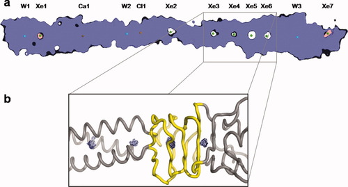 Details are in the caption following the image Details are in the caption following the image