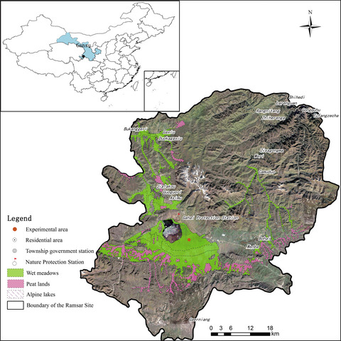 Response of soil organic carbon to vegetation degradation along a moisture gradient in a wet meadow on the Qinghai–Tibet Plateau