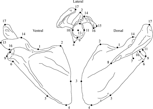 Details are in the caption following the image Details are in the caption following the image