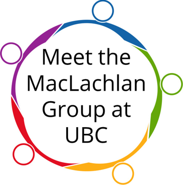 Supramolecular Materials Chemistry in the MacLachlan Group