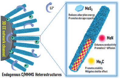 Endogenous Interfacial Mo−C/N−Mo-S Bonding Regulates the Active Mo Sites for Maximized Li+ Storage Areal Capacity