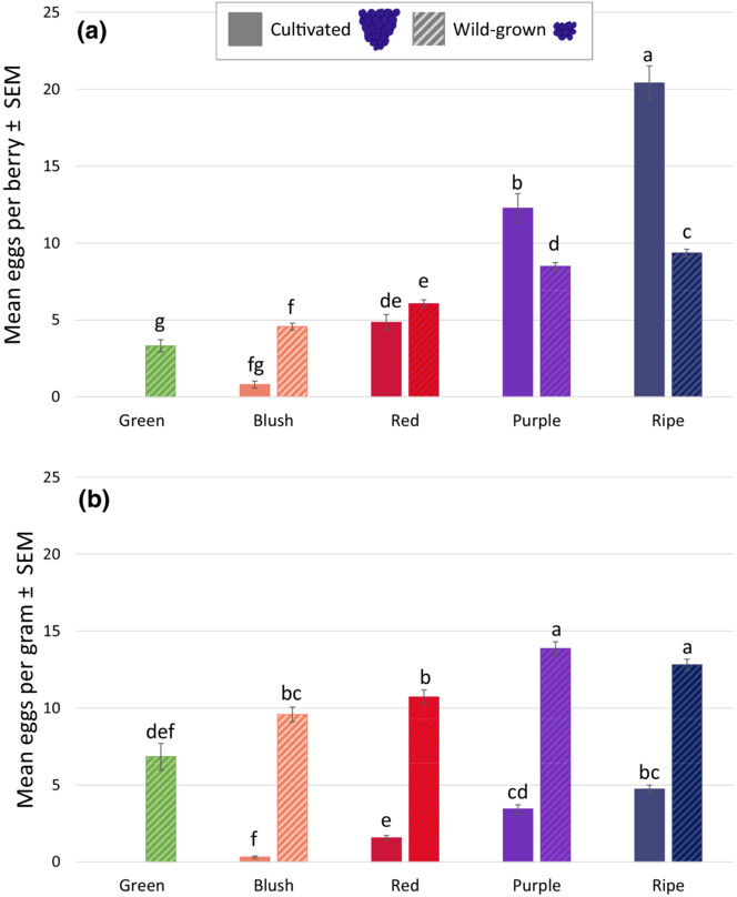 Plasticity in oviposition and foraging behavior in the invasive pest Drosophila suzukii across natural and agricultural landscapes