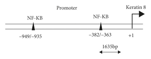 Details are in the caption following the image