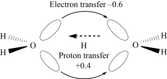 Mechanisms of the Elementary Processes of Electron Wavepacket Dynamics Coupled with Proton Transfer and Hydrogen-Atom Migration in H2O+H3O+